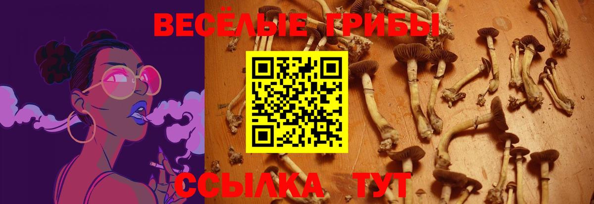 Псилоцибиновые грибы ЛСД  Вход с VPN  Казань 